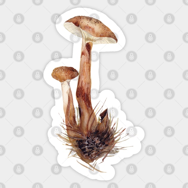 Armillaria mellea Sticker by feafox92